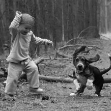 Ways Pets and Children Play Together